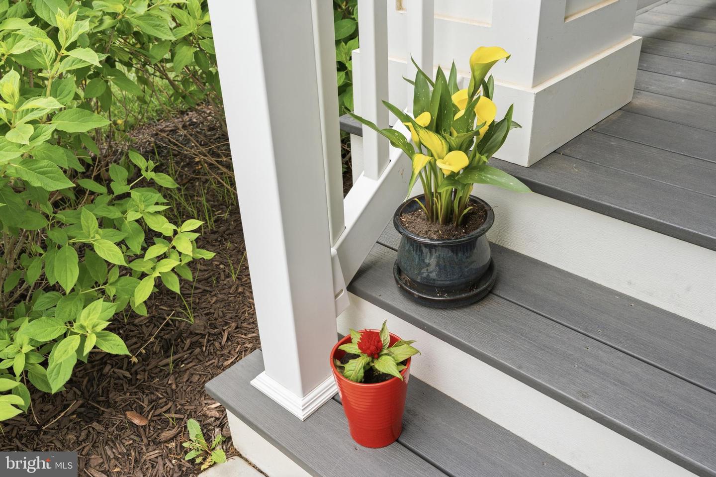 DESU2111956-804937293016-2026-05-22-00-30-58 11272 Hall Rd | Lewes, DE Real Estate For Sale | MLS# Desu2111956  - Jack Lingo REALTOR