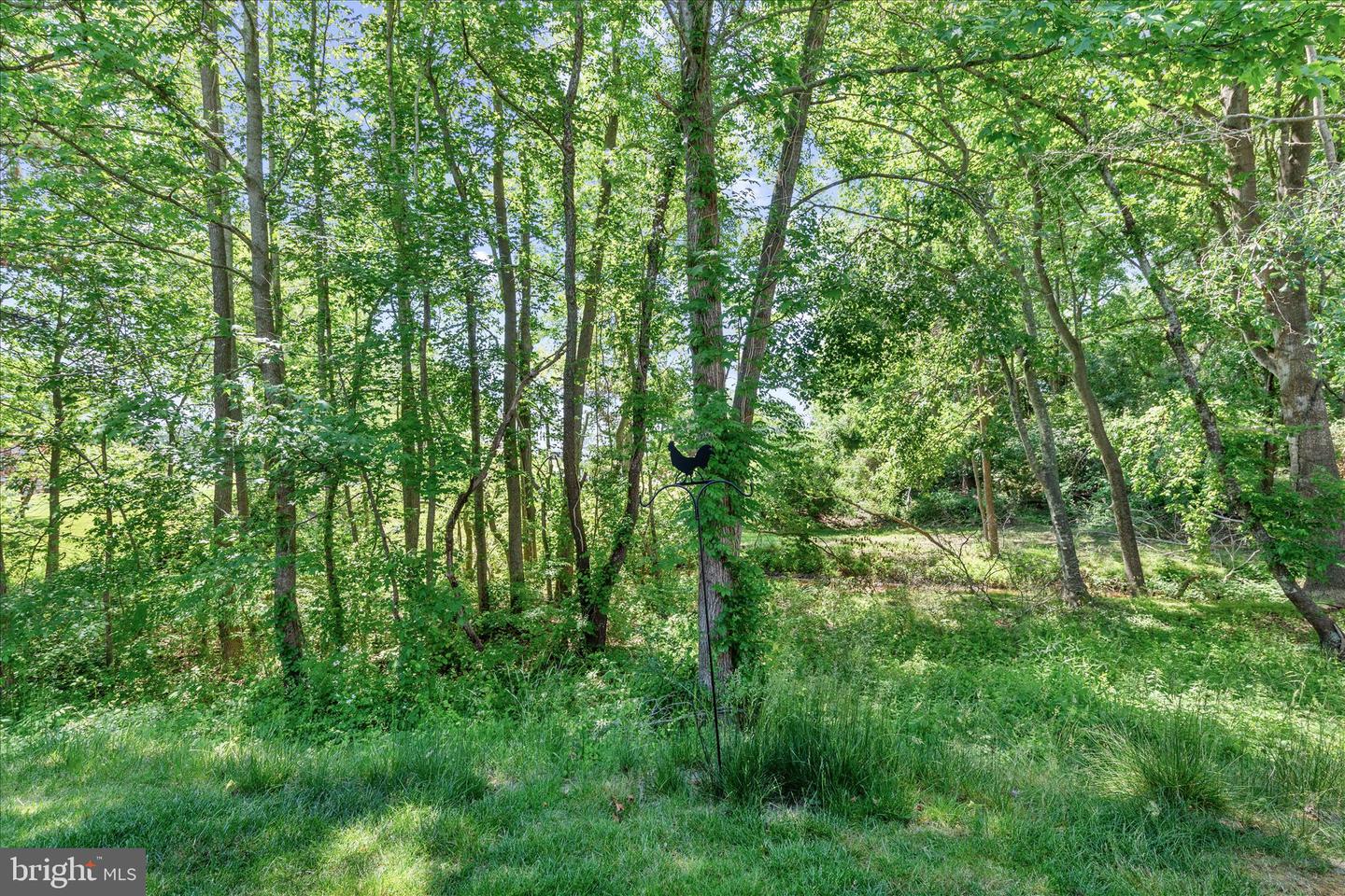 DESU2112072-804950622172-2026-05-21-10-06-37 29212 Shady Creek Ln | Dagsboro, DE Real Estate For Sale | MLS# Desu2112072 - Jack Lingo REALTOR DESU2112072-804950622172-2026-05-21-10-06-37 29212 Shady Creek Ln | Dagsboro, DE Real Estate For Sale | MLS# Desu2112072 - Jack Lingo REALTOR