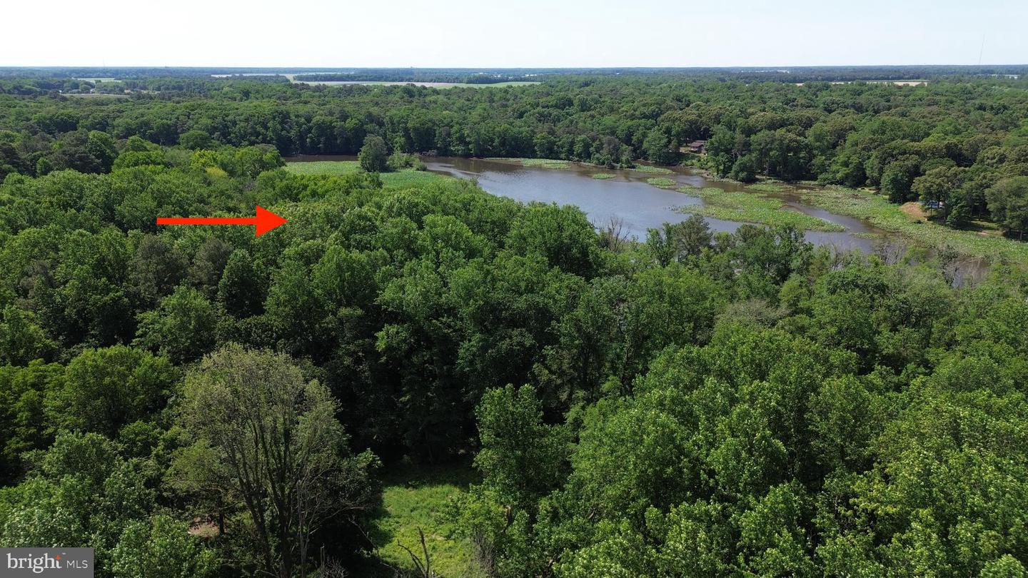 DESU2112792-804976236588-2026-05-28-12-49-00 Lot C Sailors Path | Bethel, DE Real Estate For Sale | MLS# Desu2112792  - Jack Lingo REALTOR