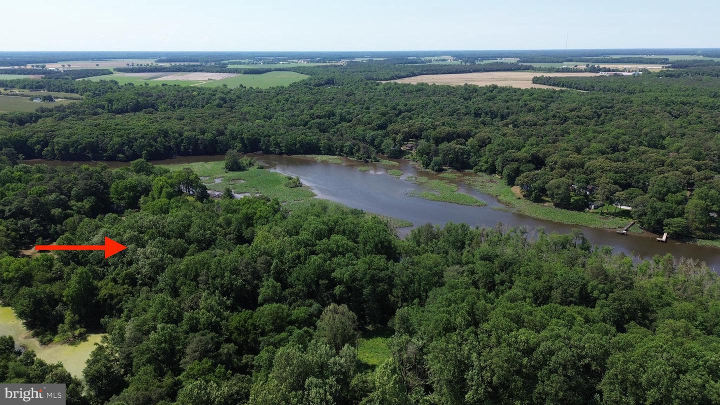 LOT C SAILORS PATH, BETHEL, DE - Jack Lingo Realtor